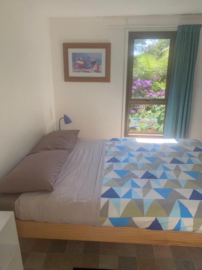 Pickled Parrot - Boutique Hostel Paihia Εξωτερικό φωτογραφία