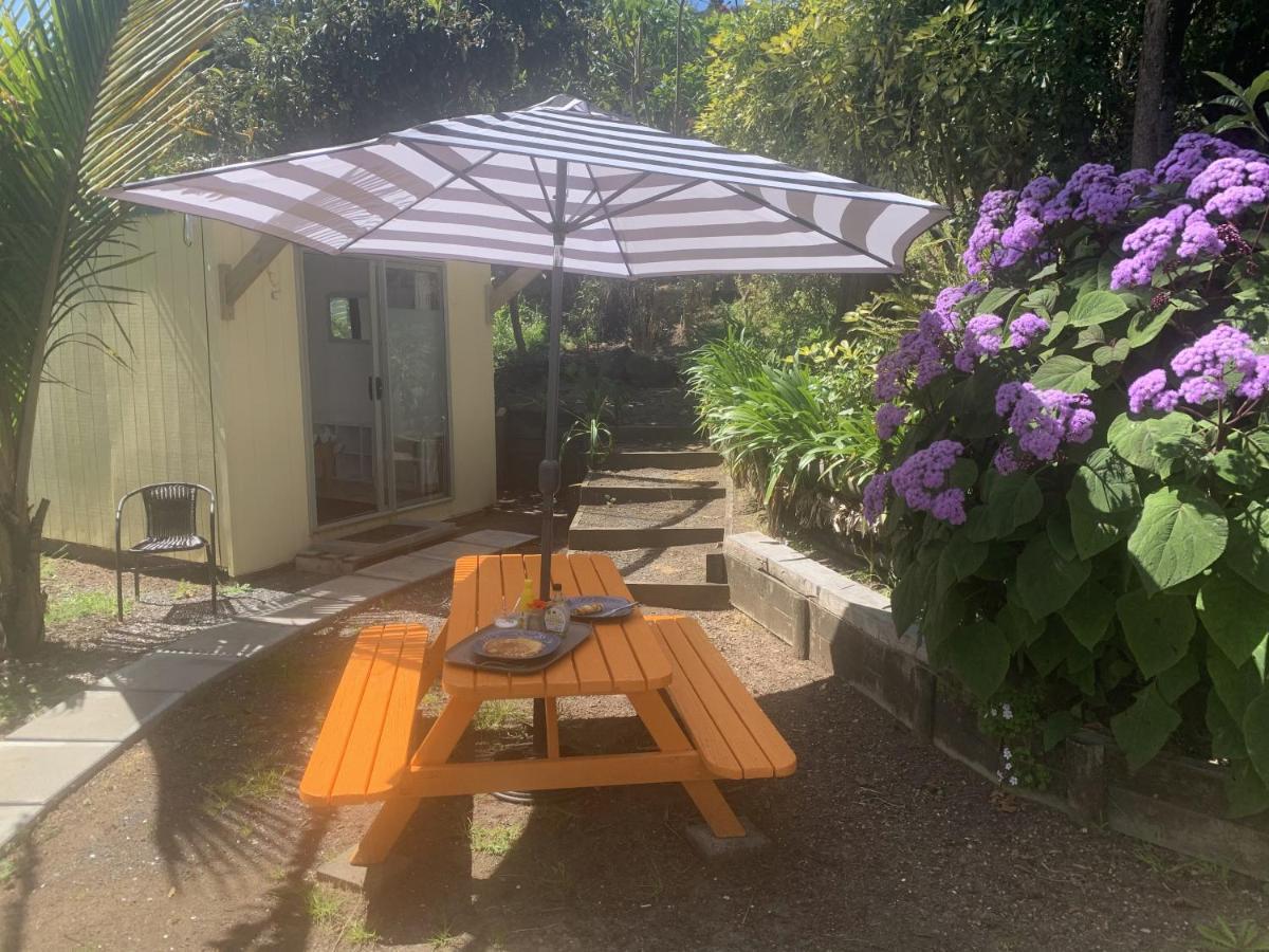 Pickled Parrot - Boutique Hostel Paihia Εξωτερικό φωτογραφία